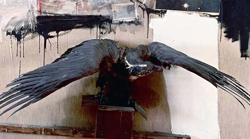 روبرت-راوشنبرگ